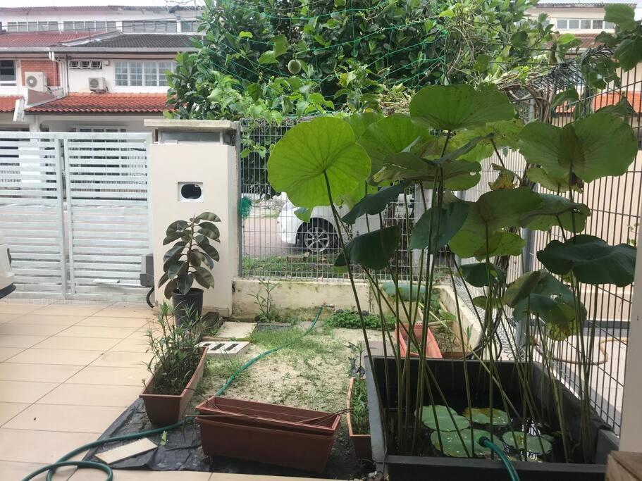 Terrace House Near Stulang Laut Ciq Midvalley Ksl For 7Pax Johor Bahru Exterior foto